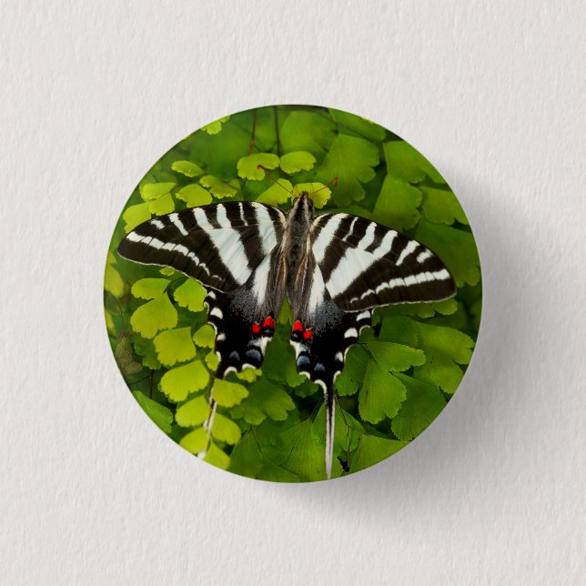 American Frack Butterfly Button (Vorderseite)