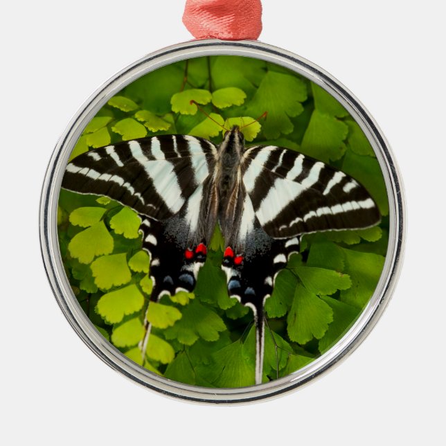 American Frack Butterfly Ornament Aus Metall (Vorne)