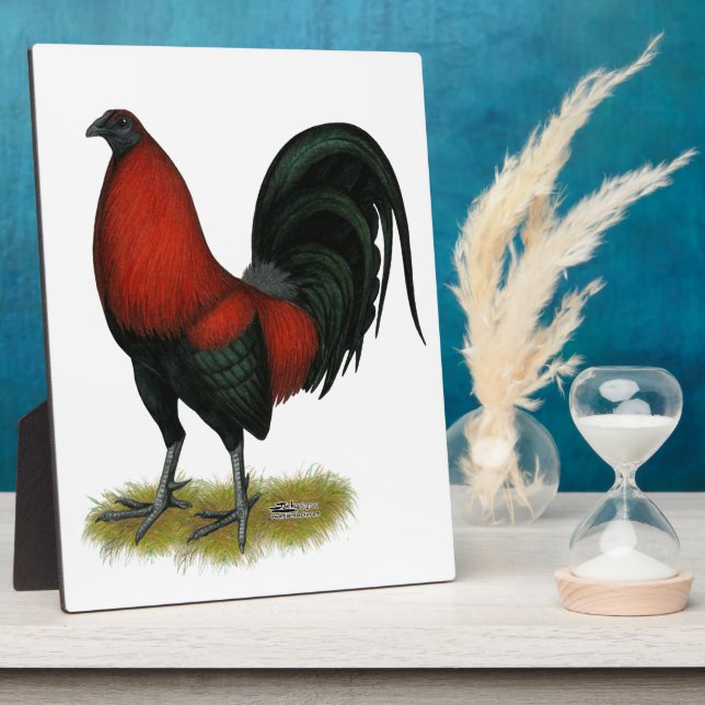 American Game BB Black Red Rooster Fotoplatte (Seite)
