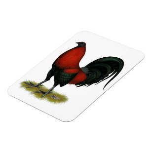 American Game BB Black Red Rooster Magnet