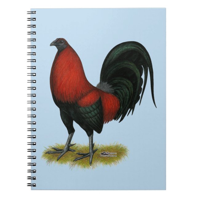 American Game BB Black Red Rooster Notizblock (Vorderseite)