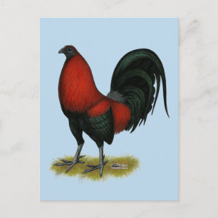 American Game BB Black Red Rooster Postkarte
