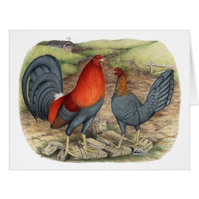 American Game Blue Reds (Vorderseite (Horizontal))