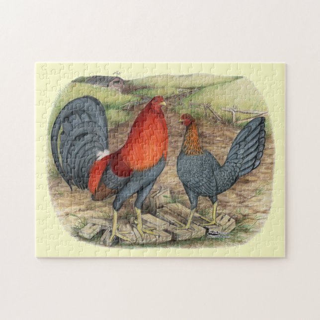 American Game Blue Reds (Horizontal)