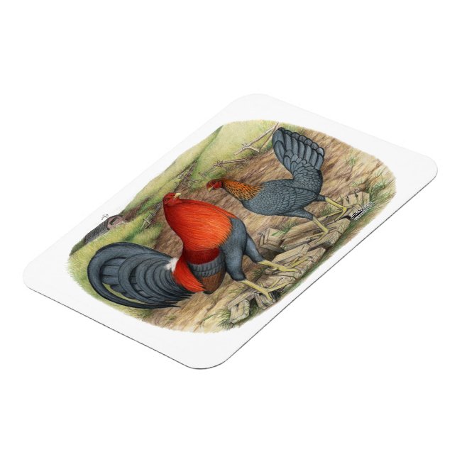 American Game Blue Reds Magnet (Linke Seite)