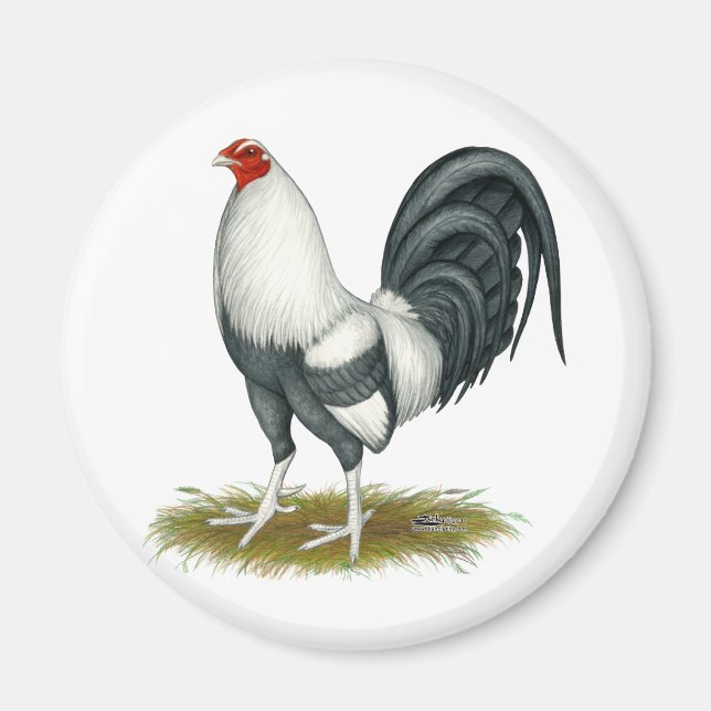 American Game Silver Blue Gamecock Magnet (Vorne)