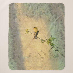 American Gold Finch auf Zweig Gelb Grün Sherpadecke