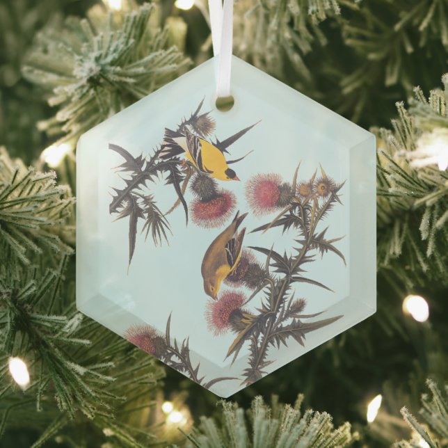 American Goldfinch Audubon Birds of America Ornament Aus Glas (Insitu)