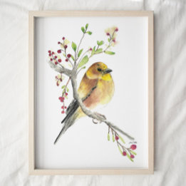 American Goldfinch Bird Watercolor Art Print Poster