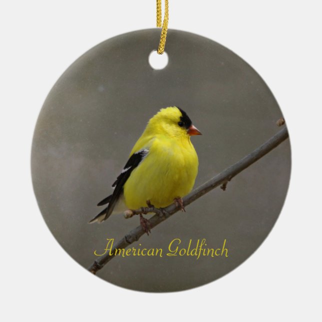 American Goldfinch Fotografy Round Keramikornament (Vorne)
