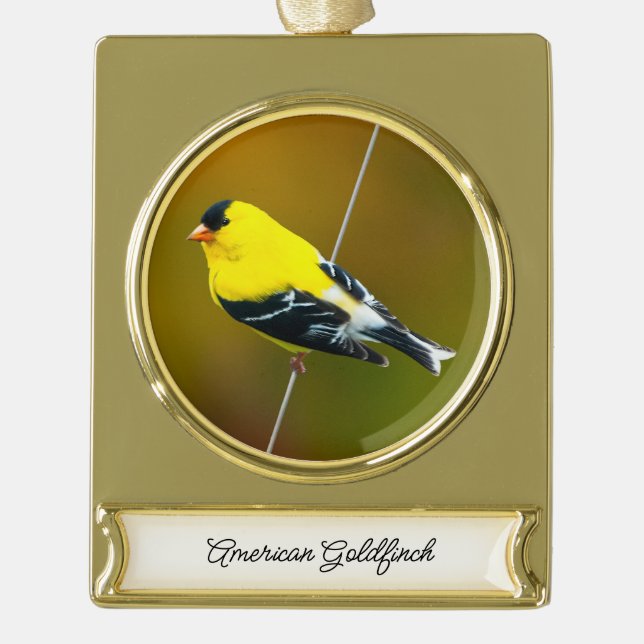 American Goldfinch - Originalfotografie Banner-Ornament Gold (Vorderseite)