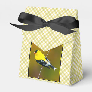 American Goldfinch - Originalfotografie Geschenkschachtel
