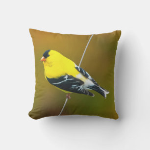 American Goldfinch - Originalfotografie Kissen