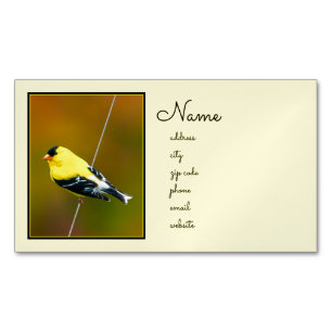 American Goldfinch - Originalfotografie Magnetische Visitenkarte