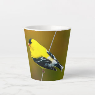 American Goldfinch - Originalfotografie Milchtasse