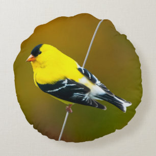 American Goldfinch - Originalfotografie Rundes Kissen