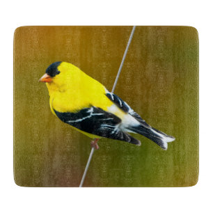 American Goldfinch - Originalfotografie Schneidebrett