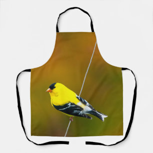 American Goldfinch - Originalfotografie Schürze