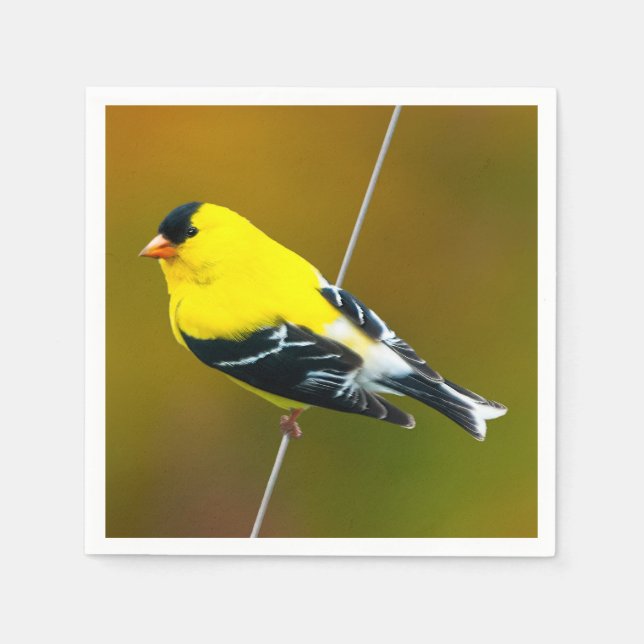 American Goldfinch - Originalfotografie Serviette (Vorderseite)