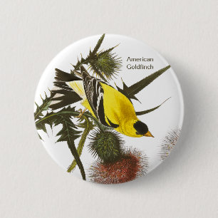 American Goldfinch von John James Audubon, Bird Button
