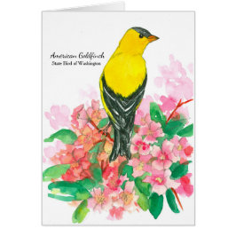 American Goldfinch Washington Staat Bird Blank