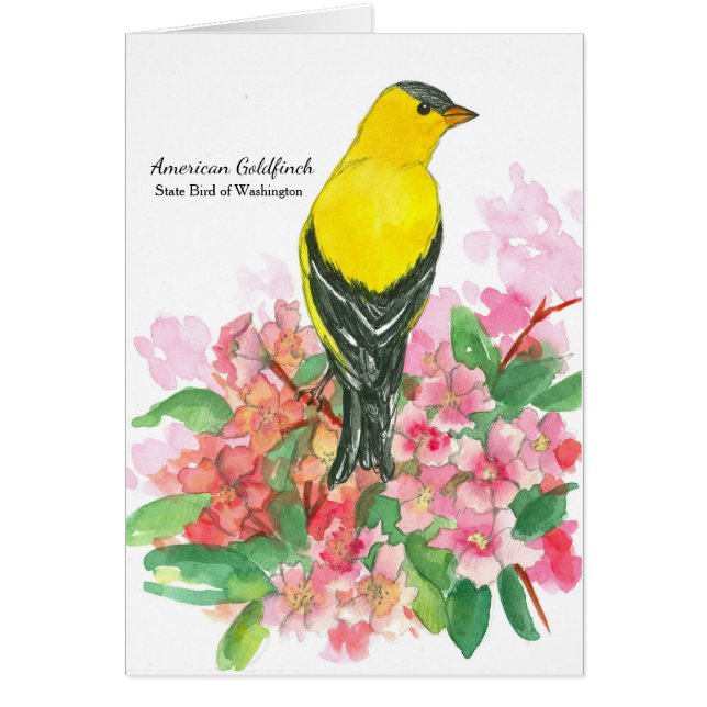 American Goldfinch Washington Staat Bird Blank (Vorne)