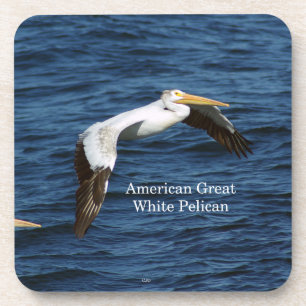 American Great White Pelican 6 Plastic Untersetzer
