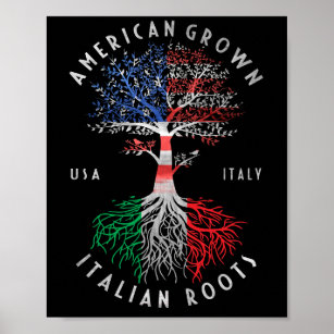 American Groots Italia Roots Italienische Flagge N Poster