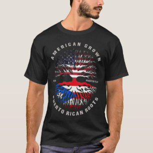 American Ground Puerto Rico Roots Puerto Rico Flag T-Shirt