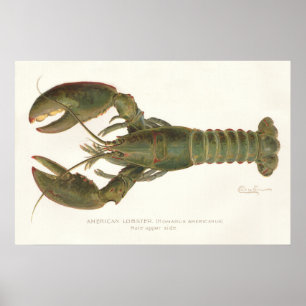 American Hummer - Sherman Denton Fish Lithograph Poster