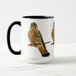 American Kestrel Falcon Tasse