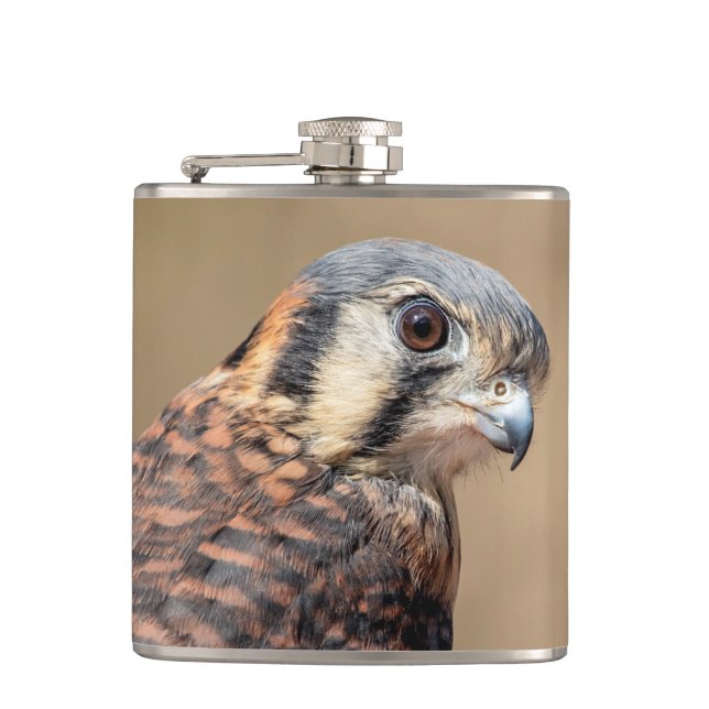 American Kestrel Flachmann (Vorderseite)