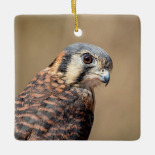 American Kestrel Keramikornament