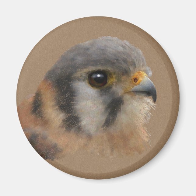 American Kestrel Magnet (Vorne)