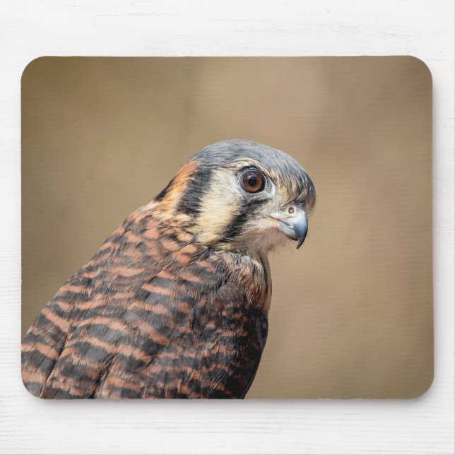 American Kestrel Mousepad (Vorne)