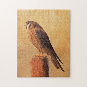 American Kestrel Painting - Original Bird Art