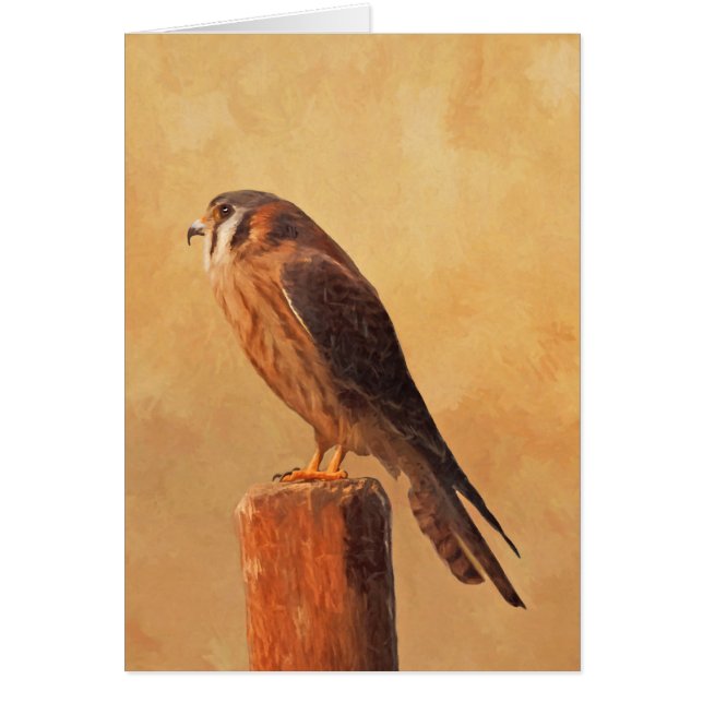 American Kestrel Painting - Original Bird Art (Vorne)