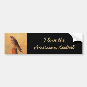 American Kestrel Painting - Original Bird Art Autoaufkleber