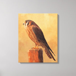 American Kestrel Painting - Original Bird Art Leinwanddruck