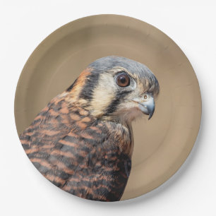 American Kestrel Pappteller