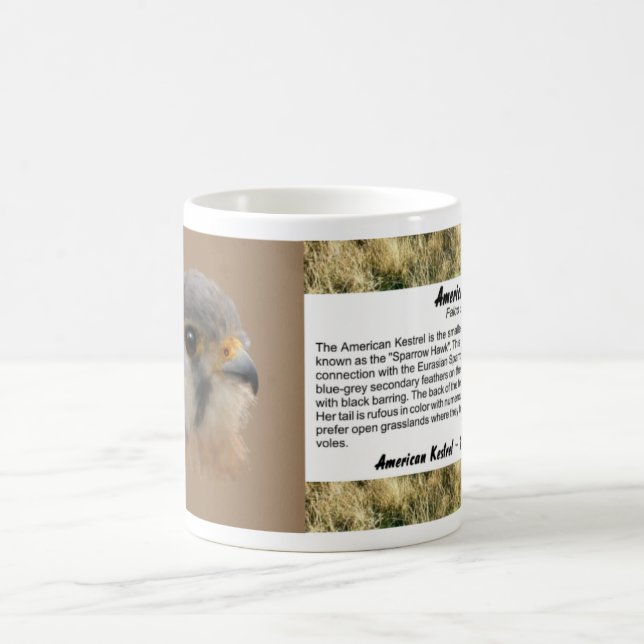 American Kestrel Portrait Kaffeetasse (Mittel)