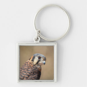 American Kestrel Schlüsselanhänger