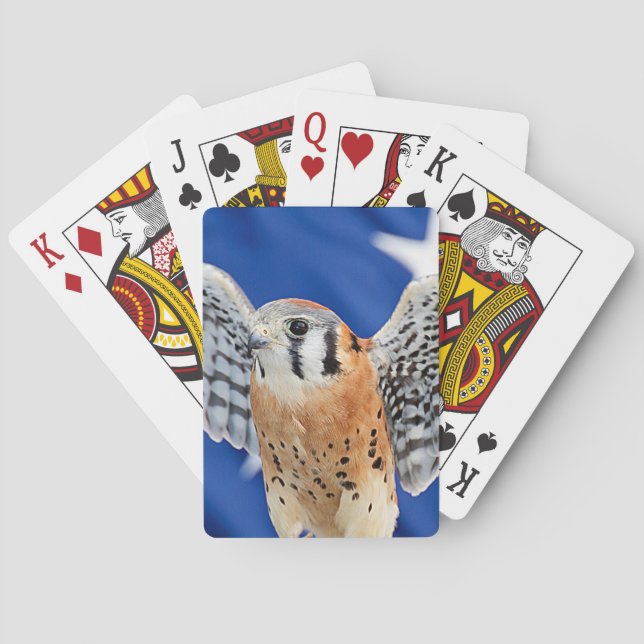 American Kestrel Spielkarten (Rückseite)