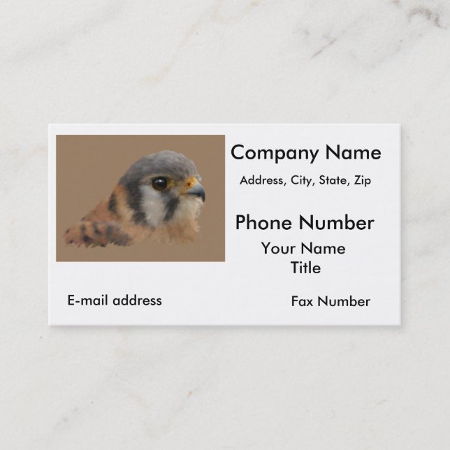 American Kestrel Visitenkarte (Vorderseite)