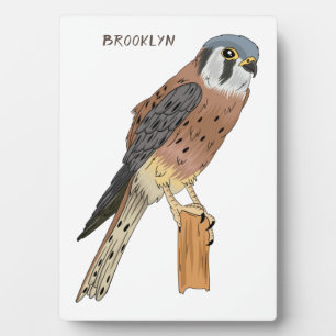 American Kestrel Vogelillustrierung Fotoplatte