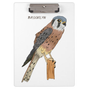 American Kestrel Vogelillustrierung Klemmbrett