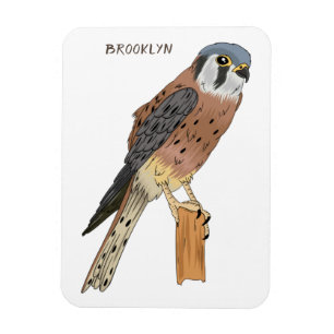 American Kestrel Vogelillustrierung Magnet