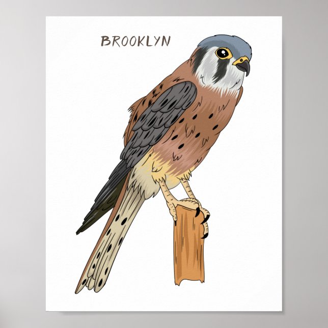 American Kestrel Vogelillustrierung Poster (Vorne)