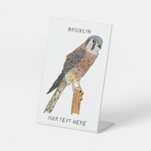 American Kestrel Vogelillustrierung Sockelschild