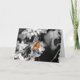 American Lady Butterfly Faltenkarte Karte